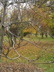 fall09_01.jpg