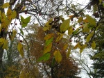 fall09_02.jpg