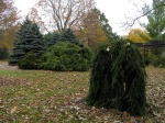 fall09_03.jpg