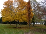 fall09_06.jpg