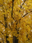 fall09_08.jpg