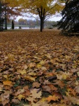 fall09_10.jpg