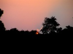 sunset02.jpg