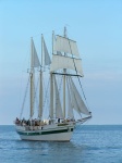tallShips03.jpg