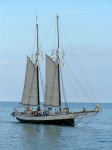 tallShips04.jpg