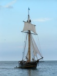 tallShips05.jpg
