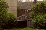 mypic01.jpg