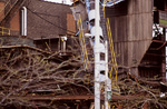 mypic38.jpg