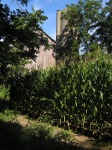 barn04.jpg
